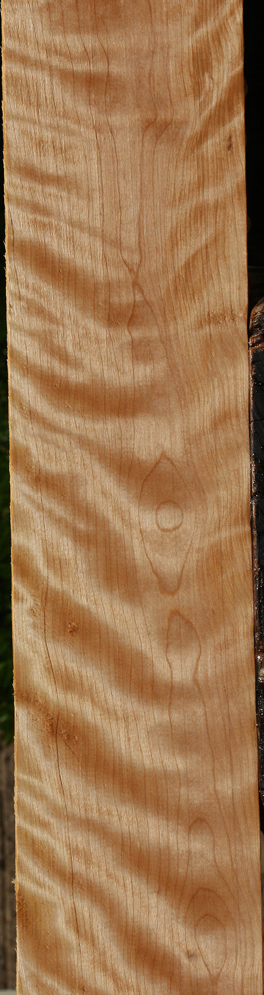 Extra Fancy Curly Birch Lumber