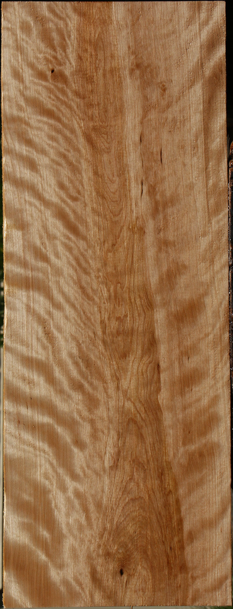 Extra Fancy Curly Birch Lumber