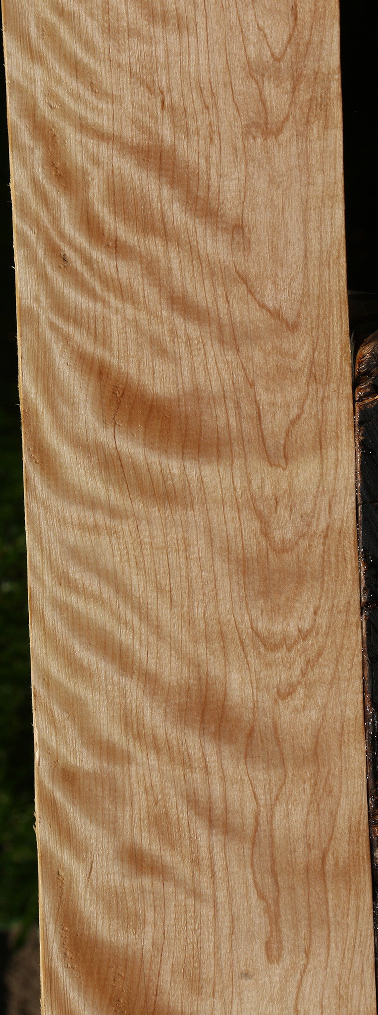 Figured Curly Birch Lumber