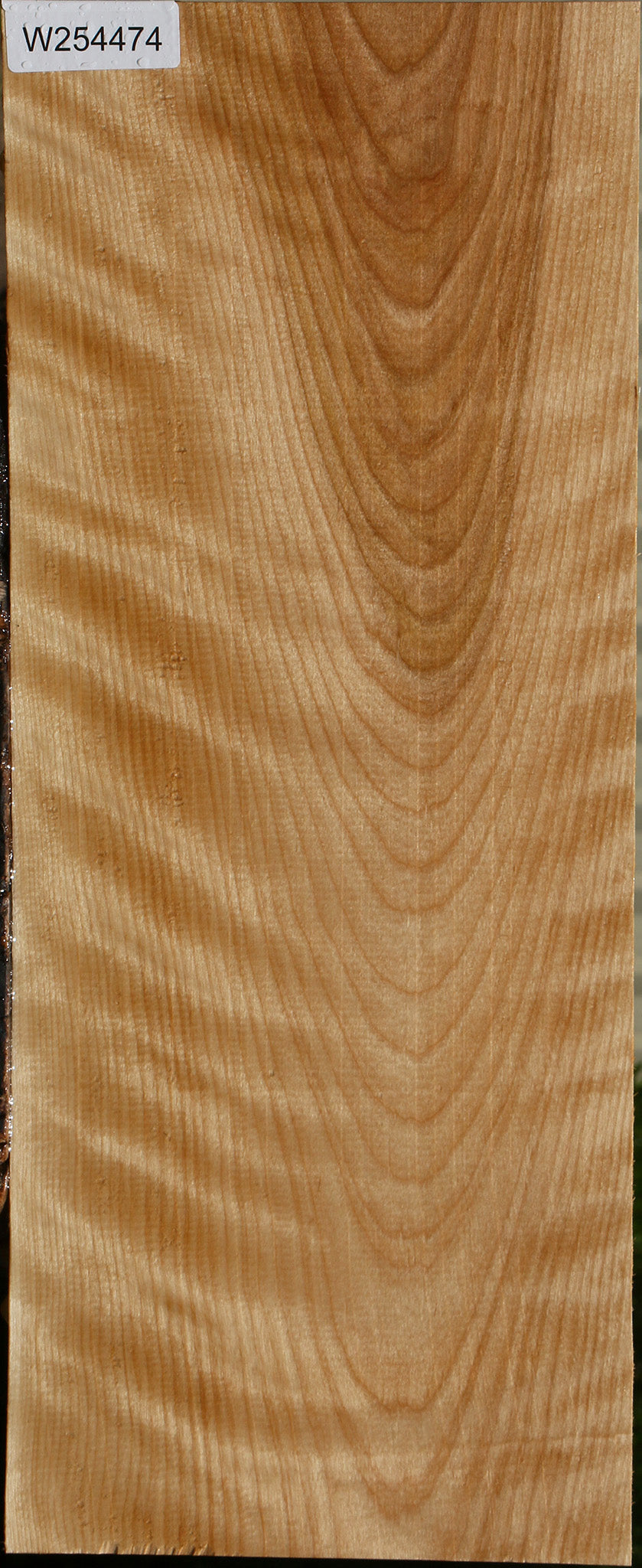 Figured Curly Birch Lumber