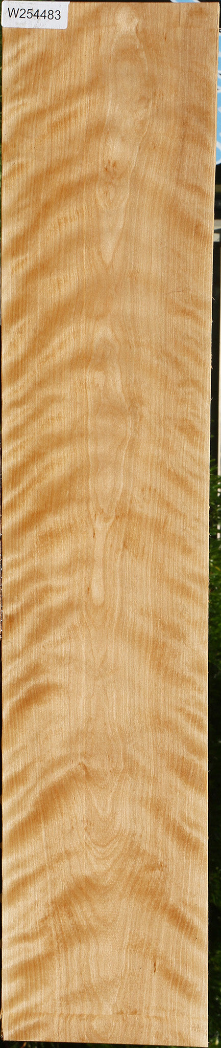 Extra Fancy Curly Birch Lumber