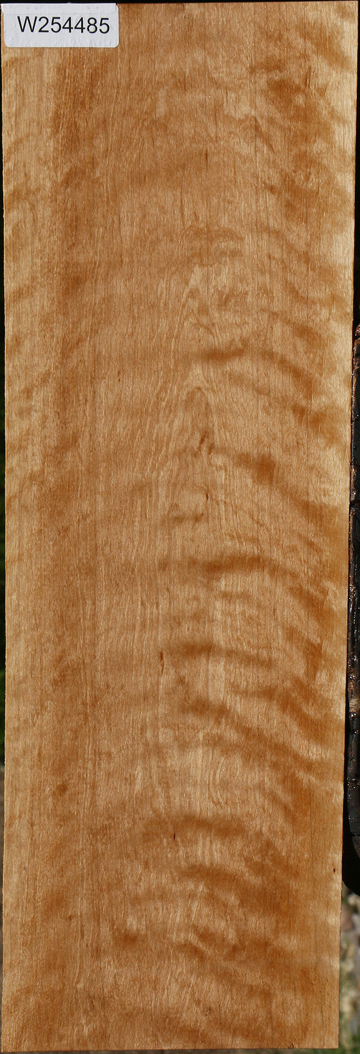 Extra Fancy Curly Birch Lumber