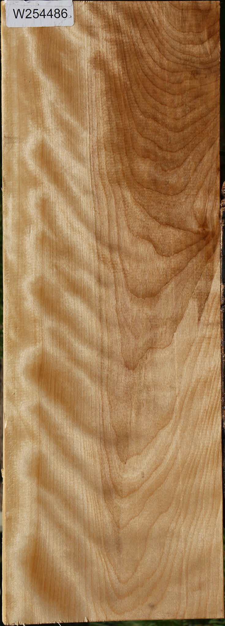 Extra Fancy Curly Birch Lumber