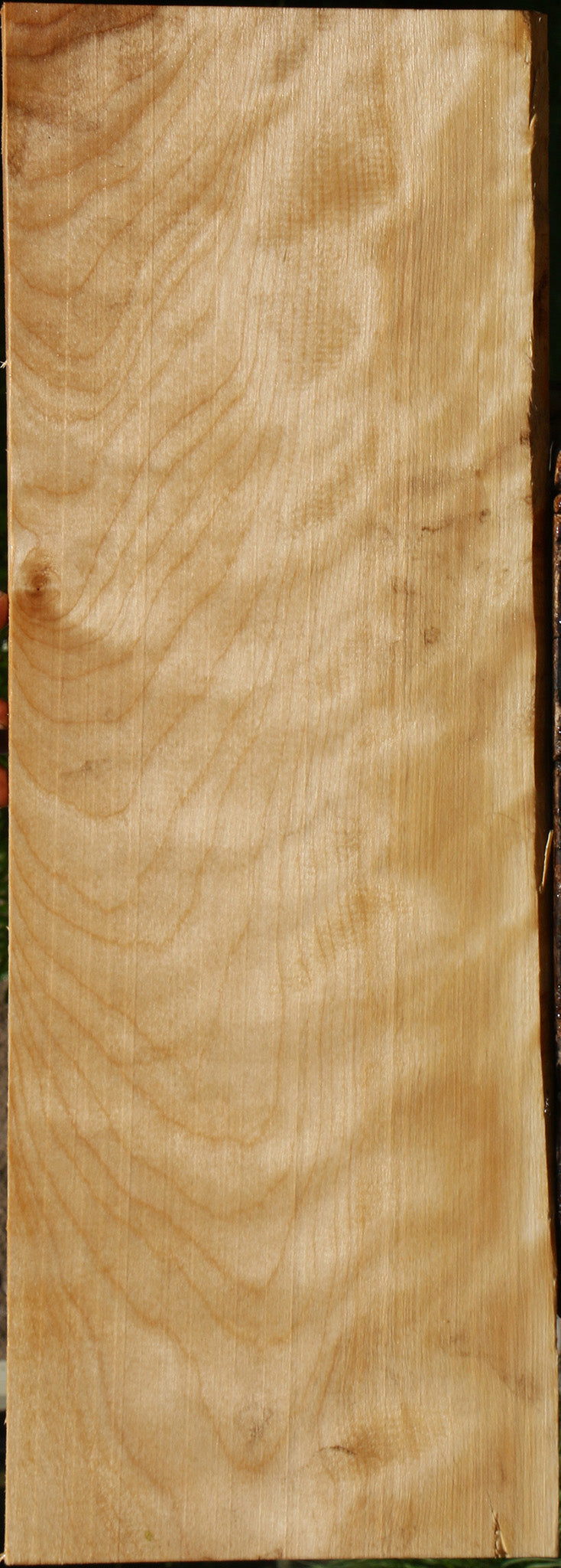 Extra Fancy Curly Birch Lumber