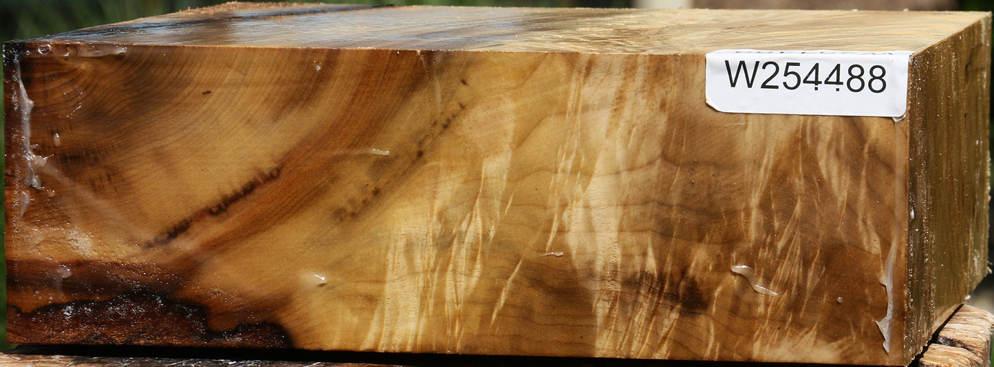 Extra Fancy Myrtle Bowl Blank