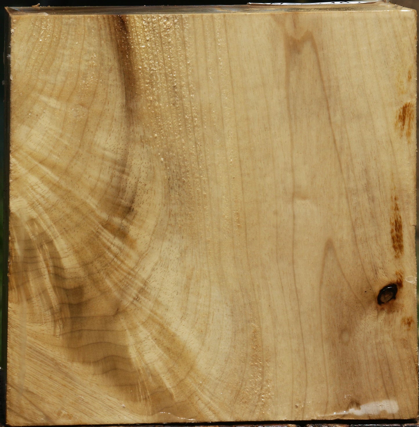 Figured Myrtle Bowl Blank