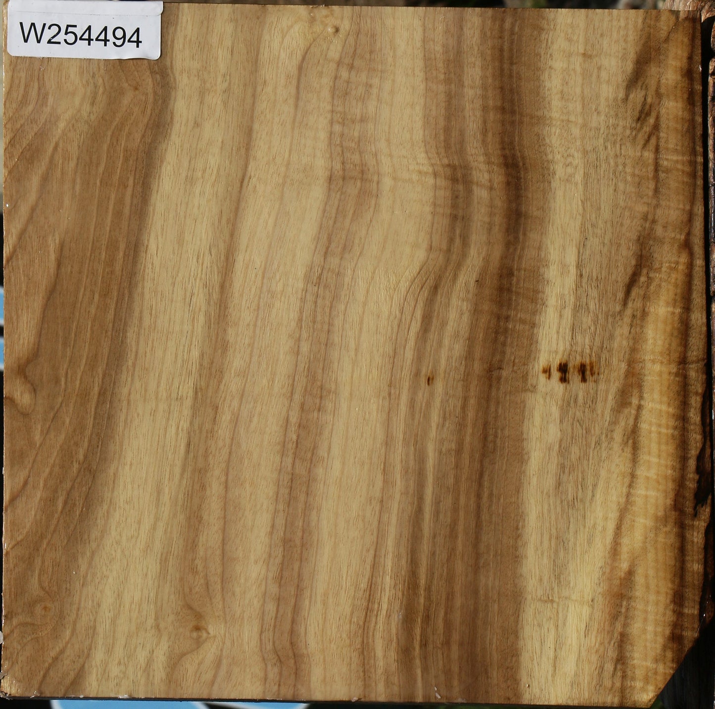 Figured Myrtle Bowl Blank