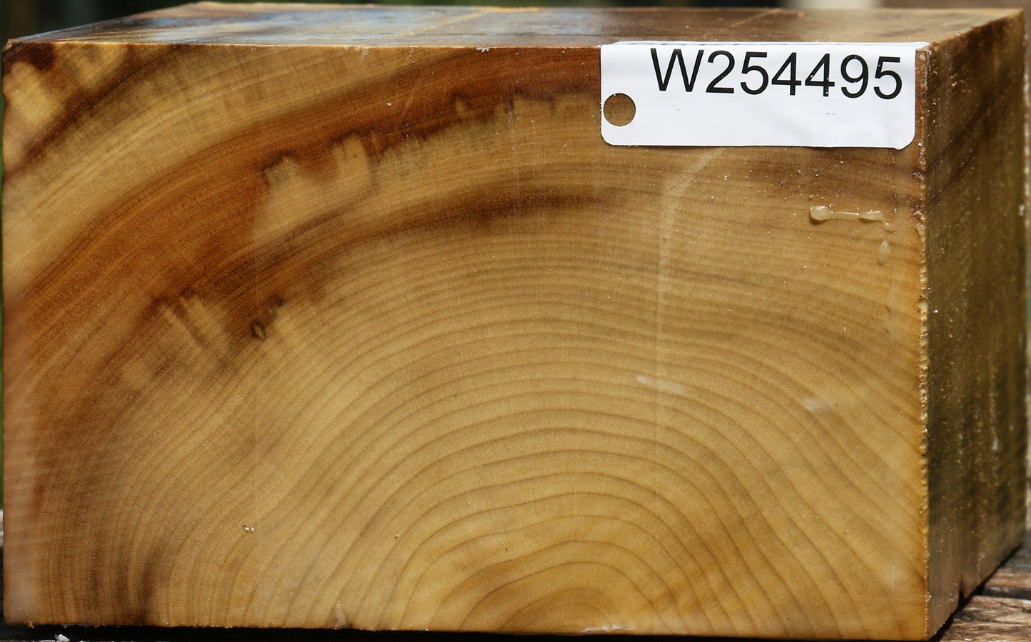 Myrtle Bowl Blank