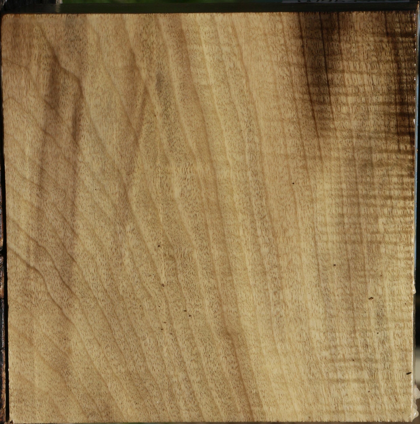 Figured Myrtle Bowl Blank