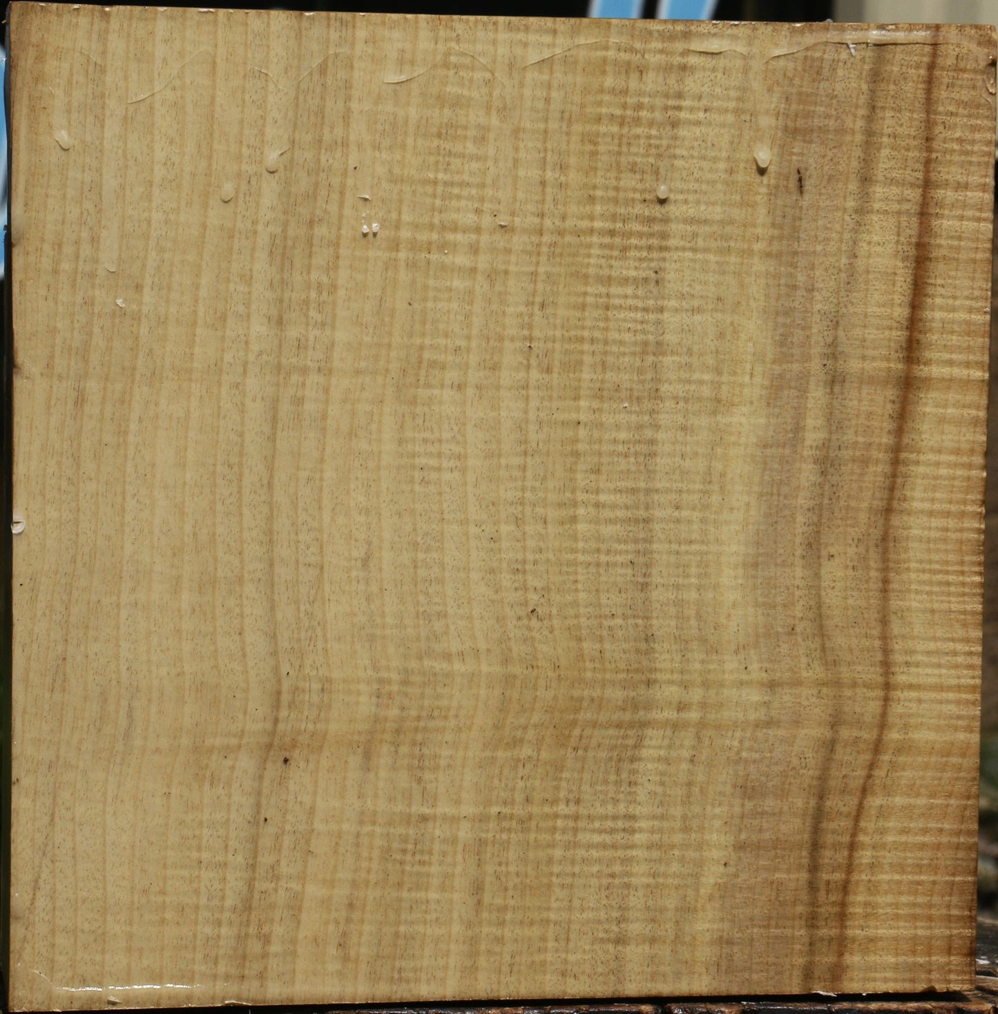 Extra Fancy Quartersawn Myrtle Bowl Blank