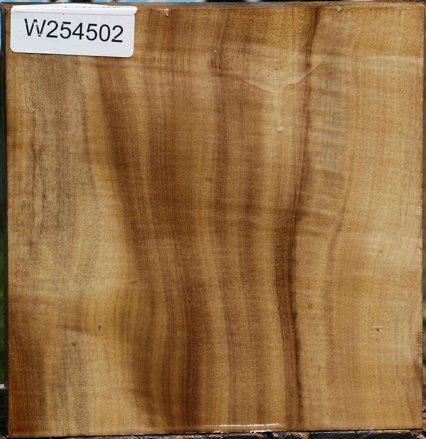 Figured Quartersawn Myrtle Bowl Blank