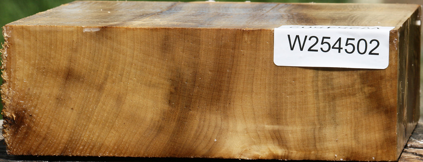 Figured Quartersawn Myrtle Bowl Blank