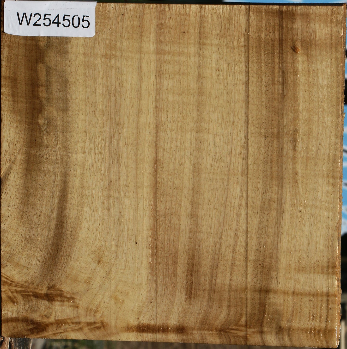 Figured Quartersawn Myrtle Bowl Blank
