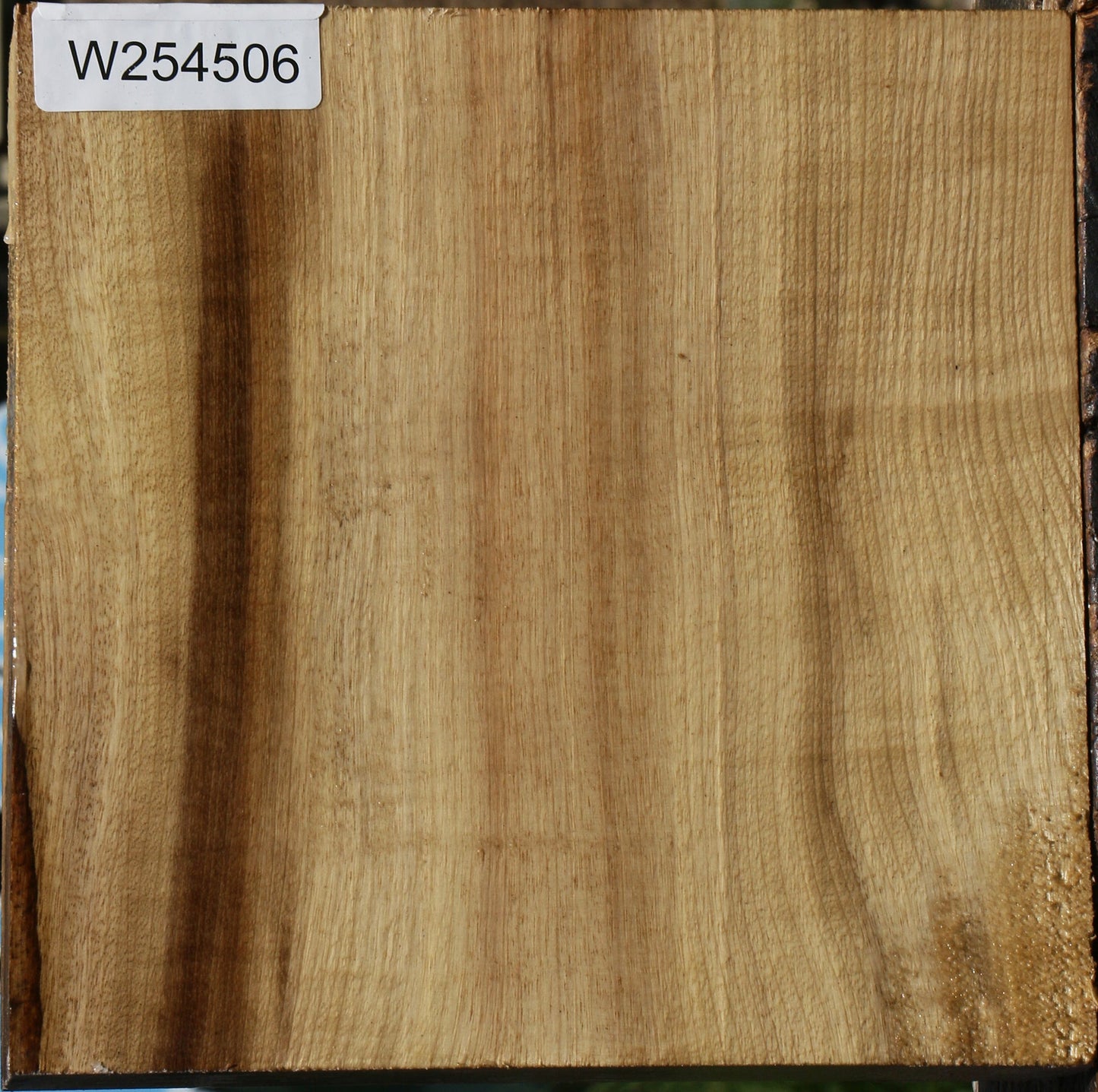 Extra Fancy Quartersawn Myrtle Bowl Blank