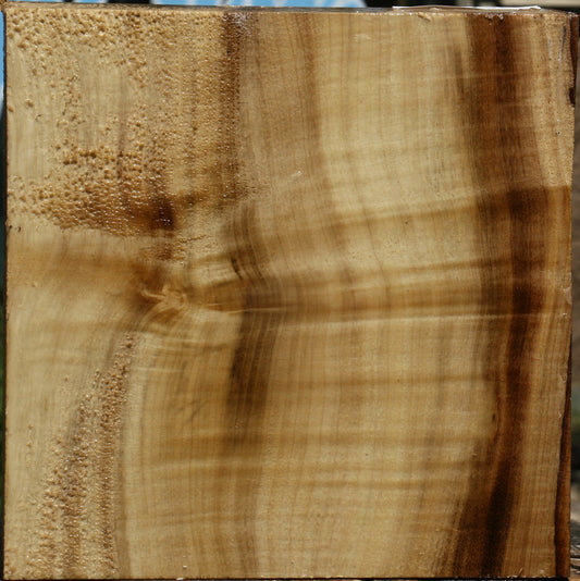 Extra Fancy Quartersawn Myrtle Bowl Blank