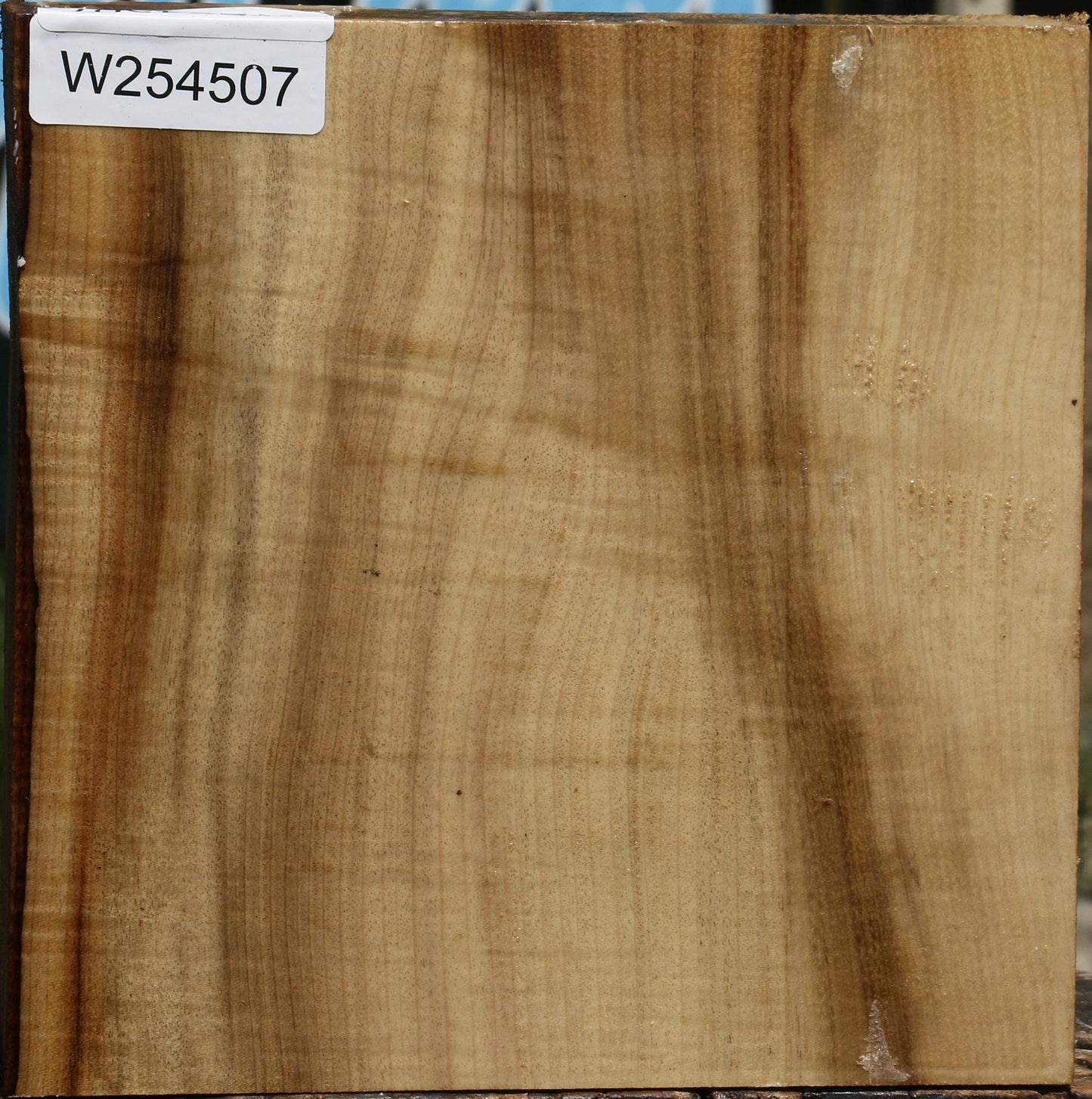 Extra Fancy Quartersawn Myrtle Bowl Blank