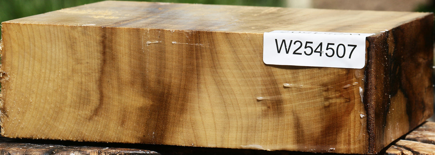 Extra Fancy Quartersawn Myrtle Bowl Blank