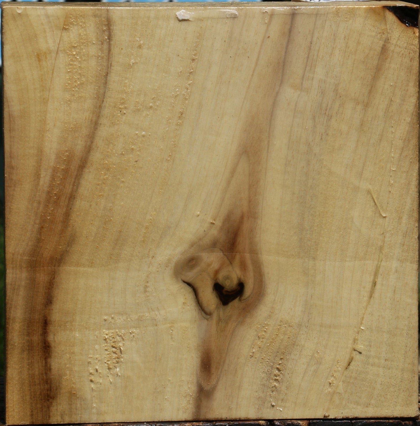 Myrtle Bowl Blank