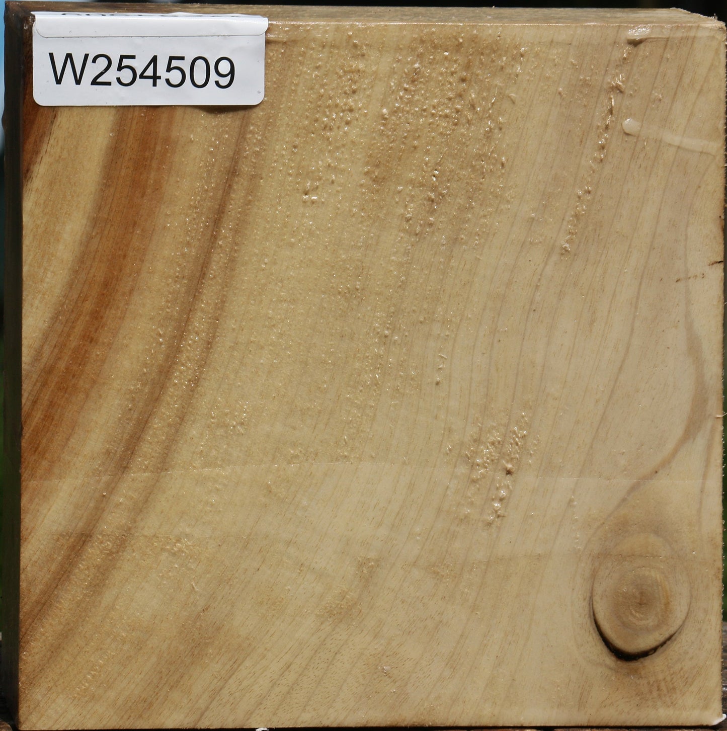 Figured Myrtle Bowl Blank