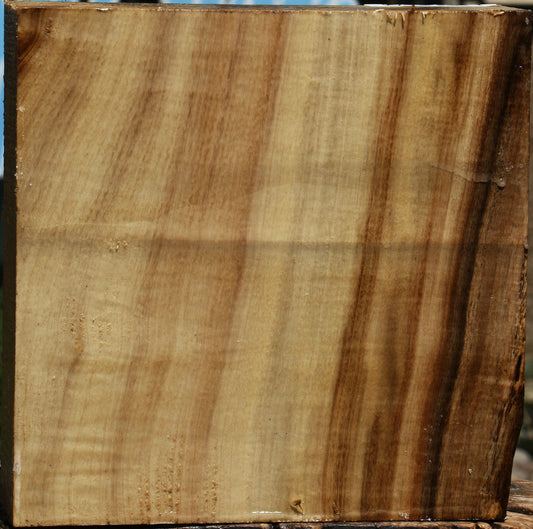 Figured Myrtle Bowl Blank