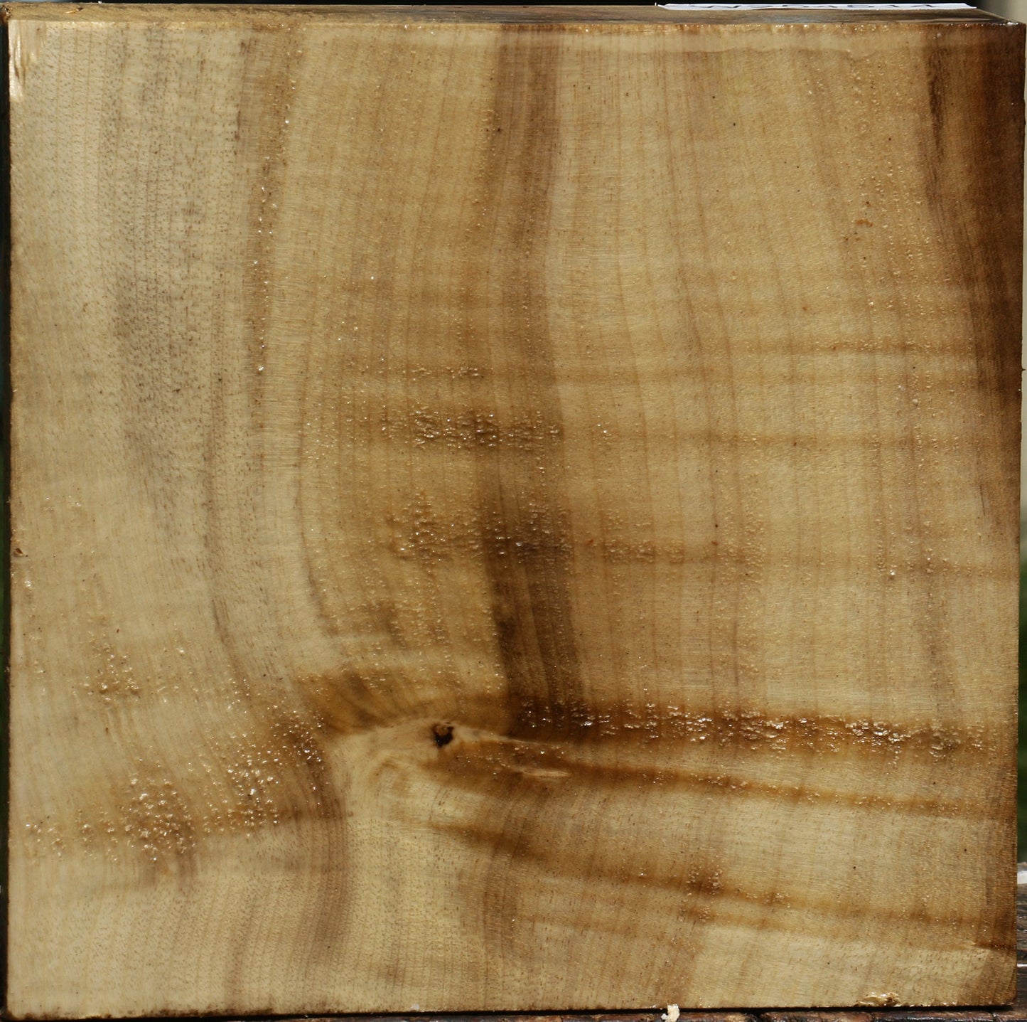 Figured Myrtle Bowl Blank