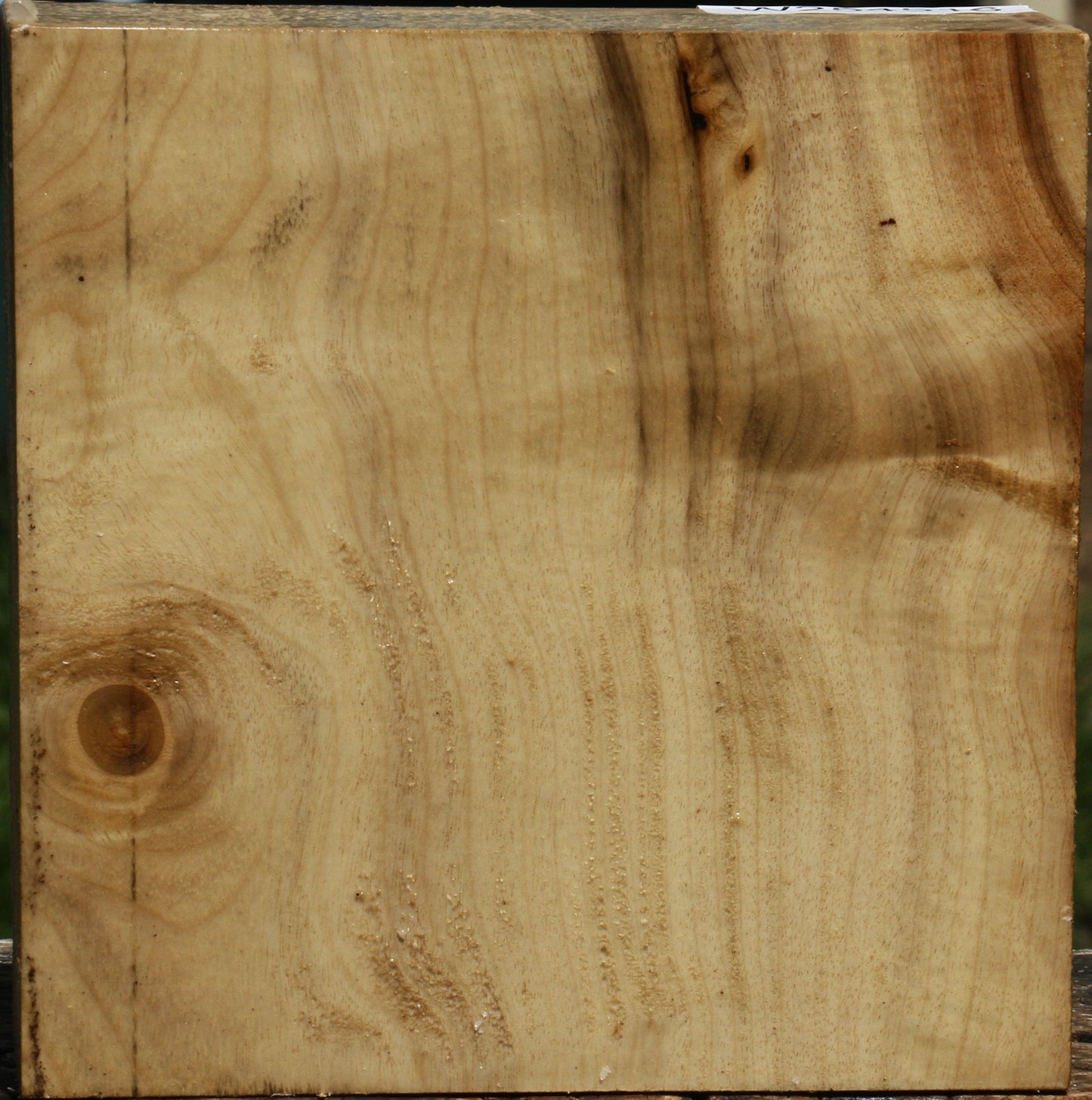 Figured Myrtle Bowl Blank