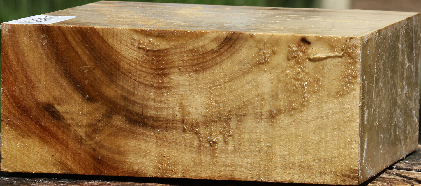 Figured Myrtle Bowl Blank