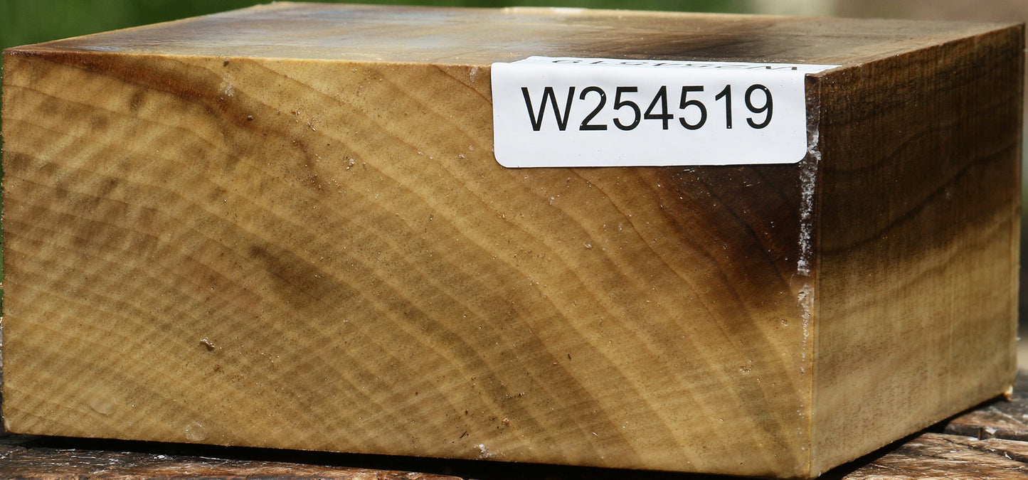 Extra Fancy Myrtle Turning Blank