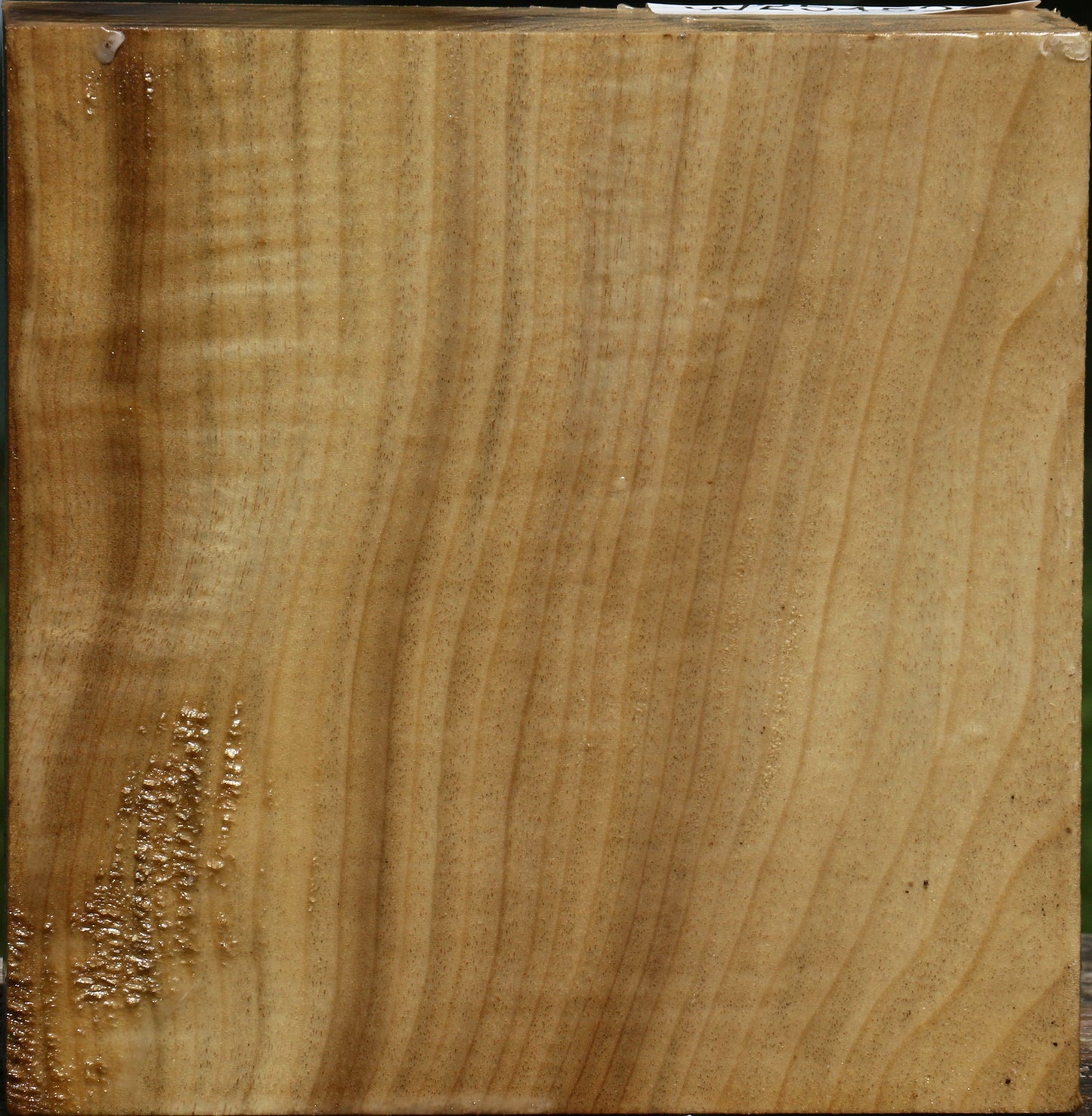 Extra Fancy Myrtle Bowl Blank