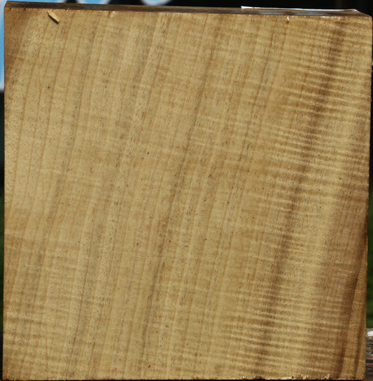 Extra Fancy Quartersawn Myrtle Bowl Blank