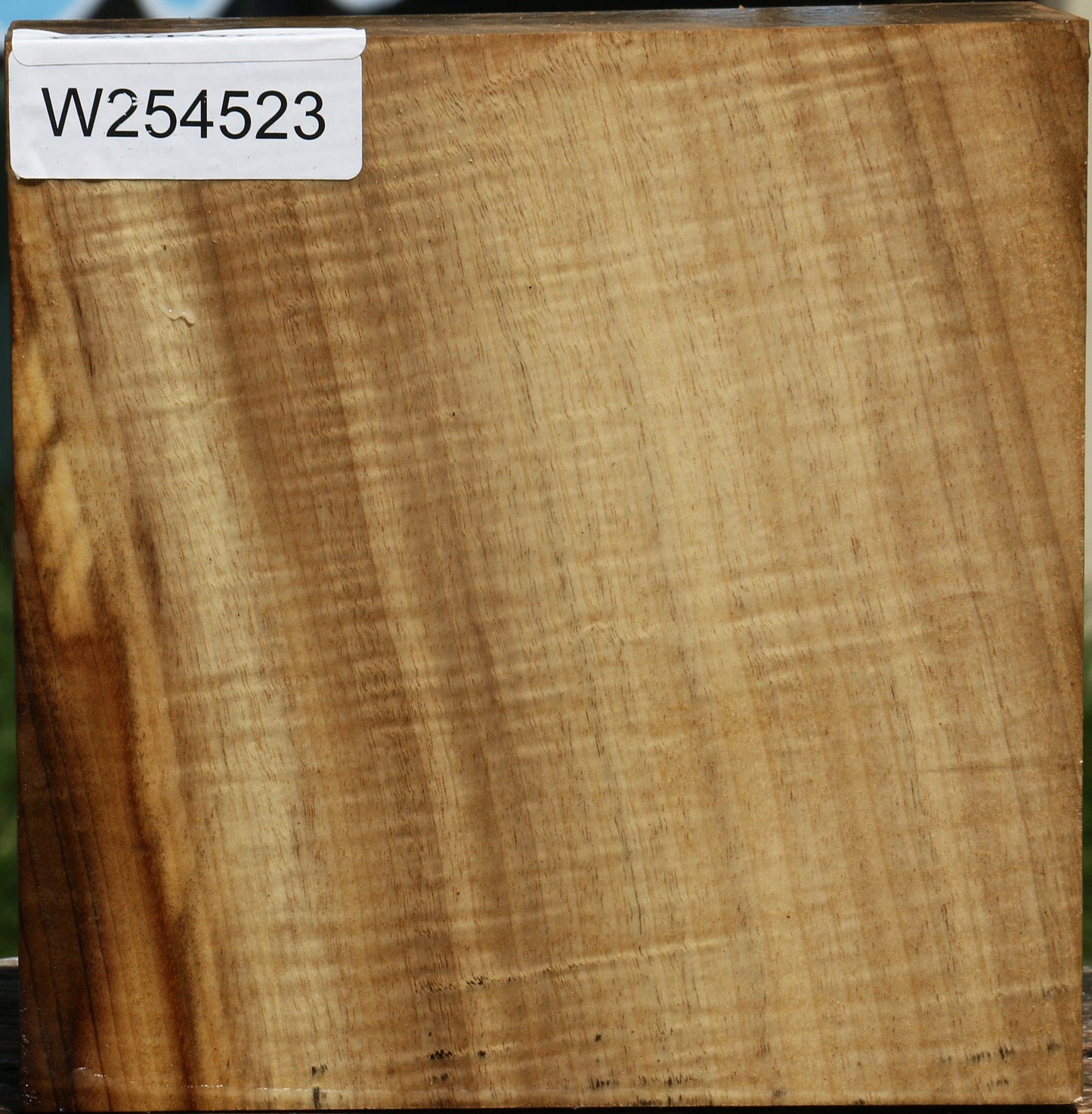 Extra Fancy Quartersawn Myrtle Bowl Blank