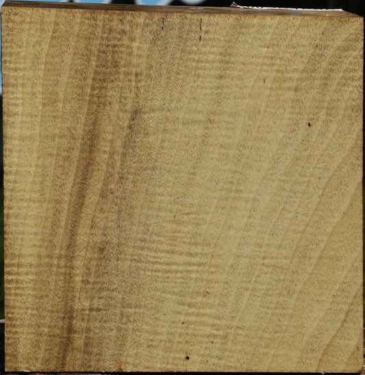 Extra Fancy Myrtle Bowl Blank