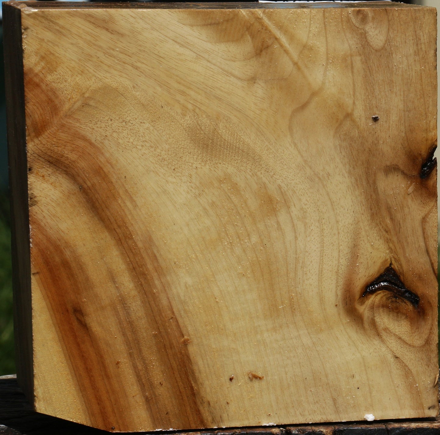 Figured Myrtle Bowl Blank