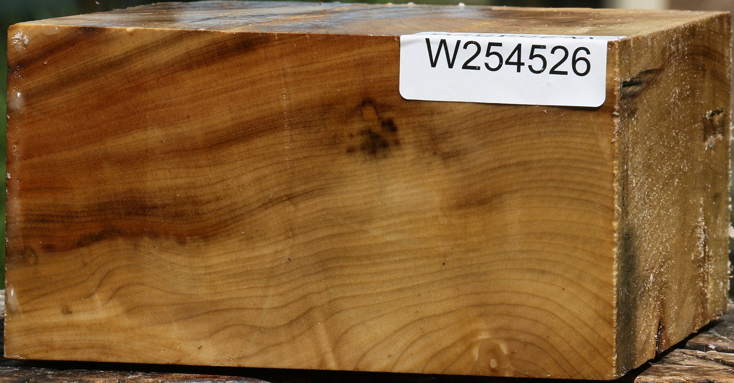 Figured Myrtle Bowl Blank