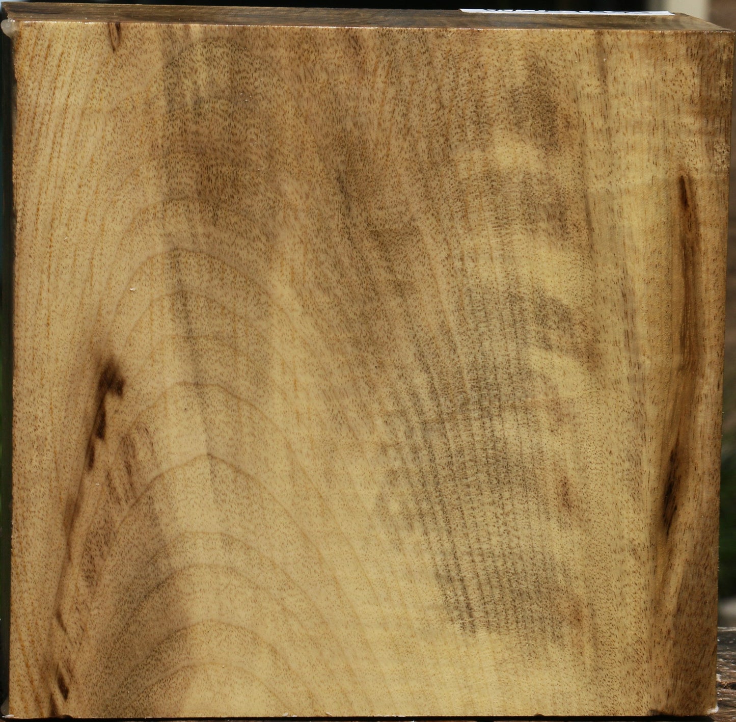 Extra Fancy Myrtle Bowl Blank