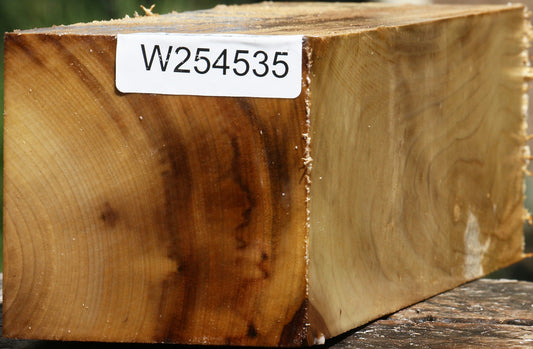 Figured Myrtle Vessel Blank