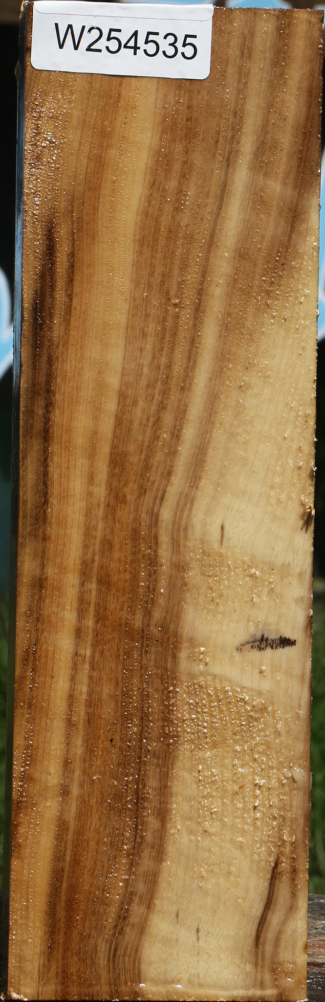 Figured Myrtle Vessel Blank