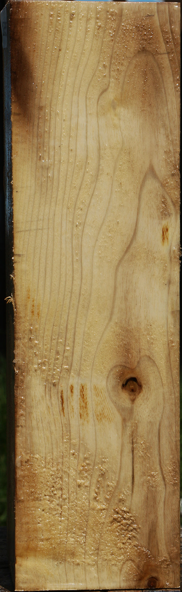 Figured Myrtle Vessel Blank