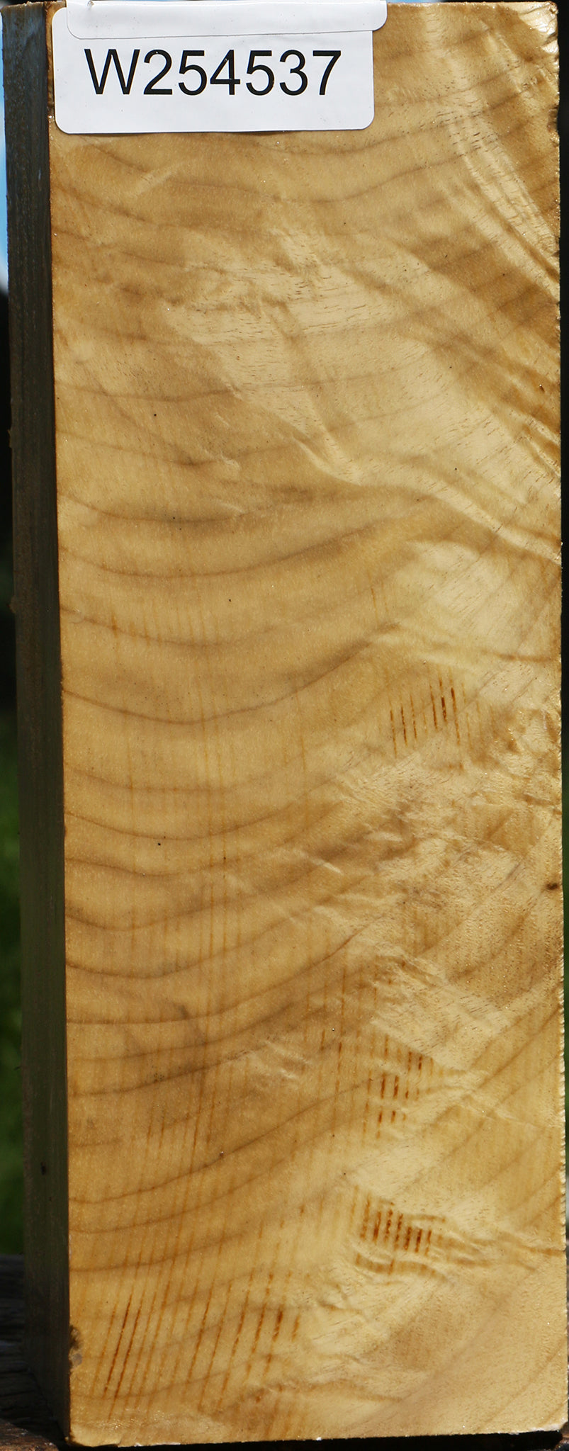 Figured Myrtle Vessel Blank
