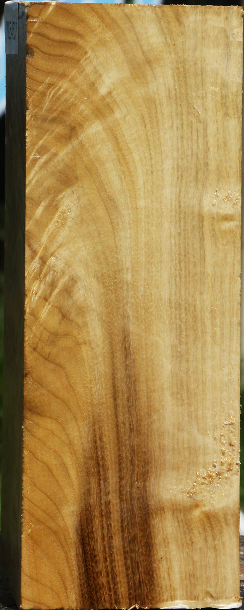 Figured Myrtle Vessel Blank