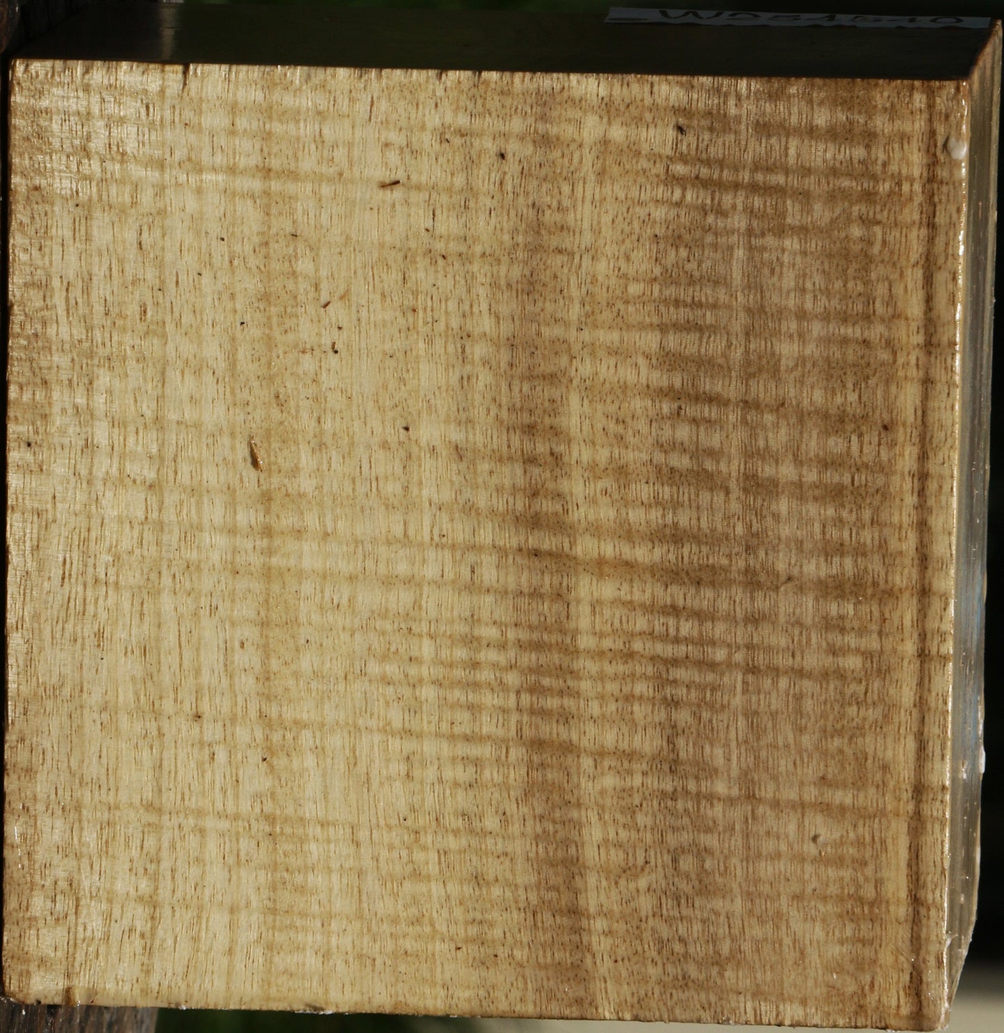 Extra Fancy Quartersawn Myrtle Bowl Blank
