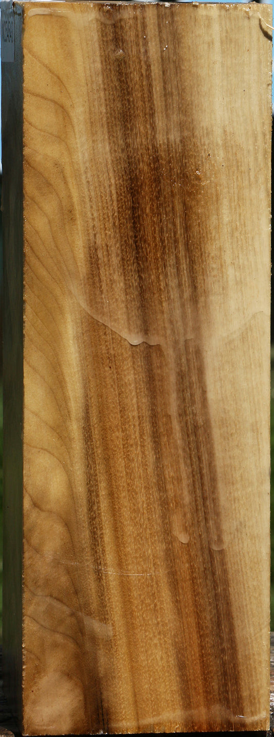 Figured Myrtle Vessel Blank