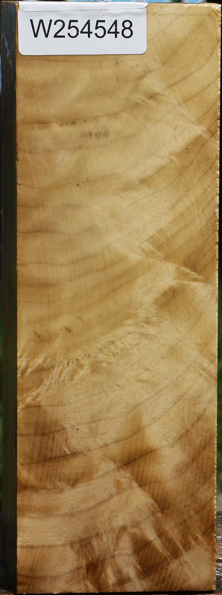 Figured Myrtle Vessel Blank