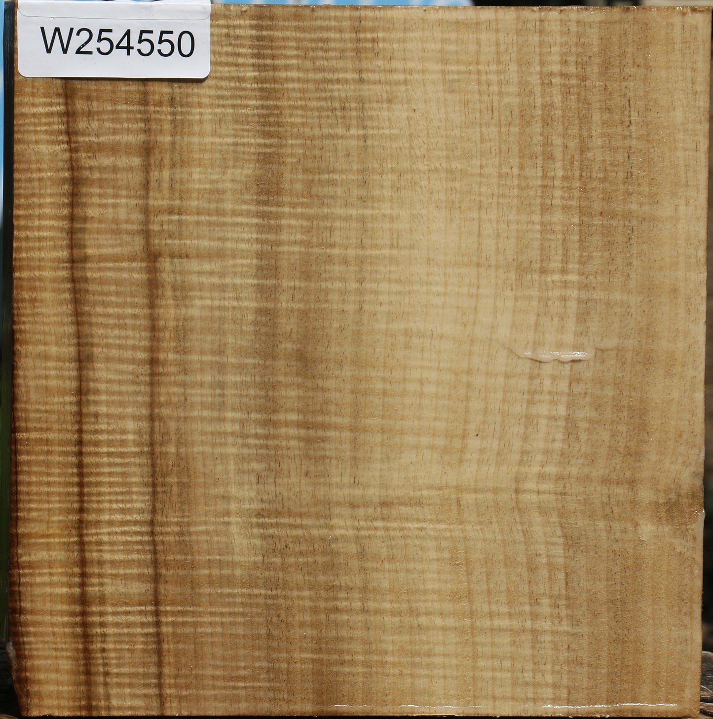 Extra Fancy Quartersawn Myrtle Bowl Blank