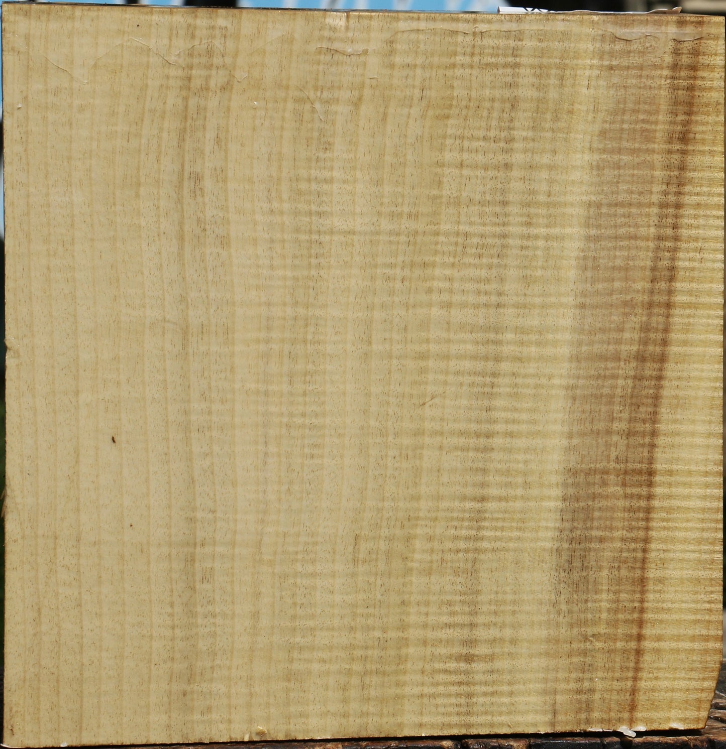Extra Fancy Quartersawn Myrtle Bowl Blank