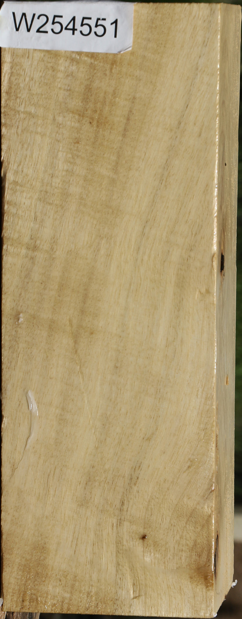 Myrtle Vessel Blank