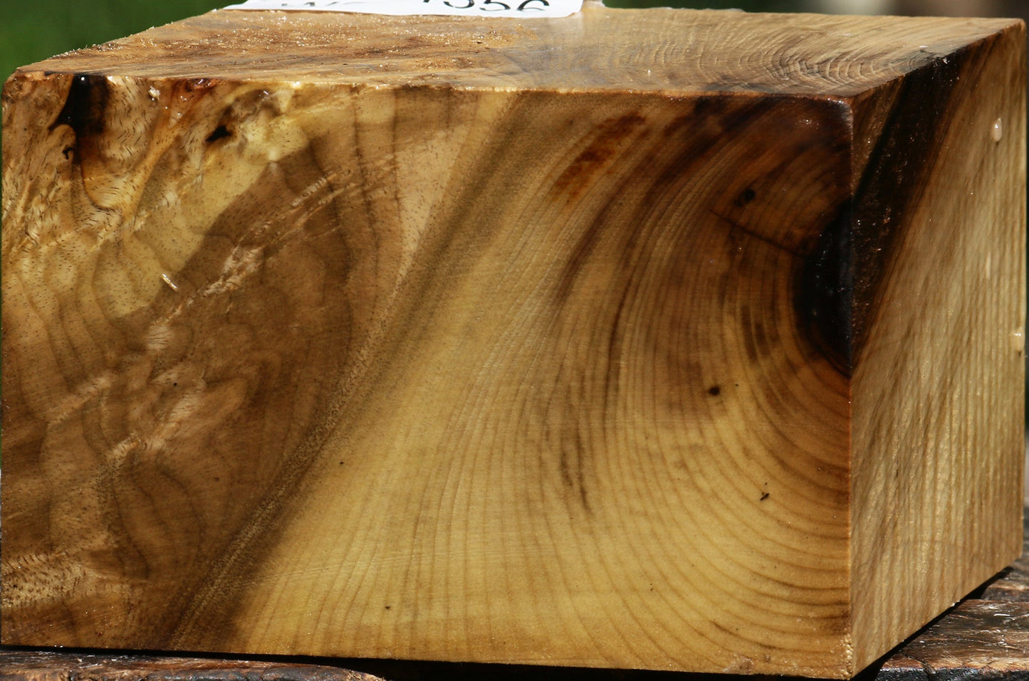 Extra Fancy Myrtle Bowl Blank