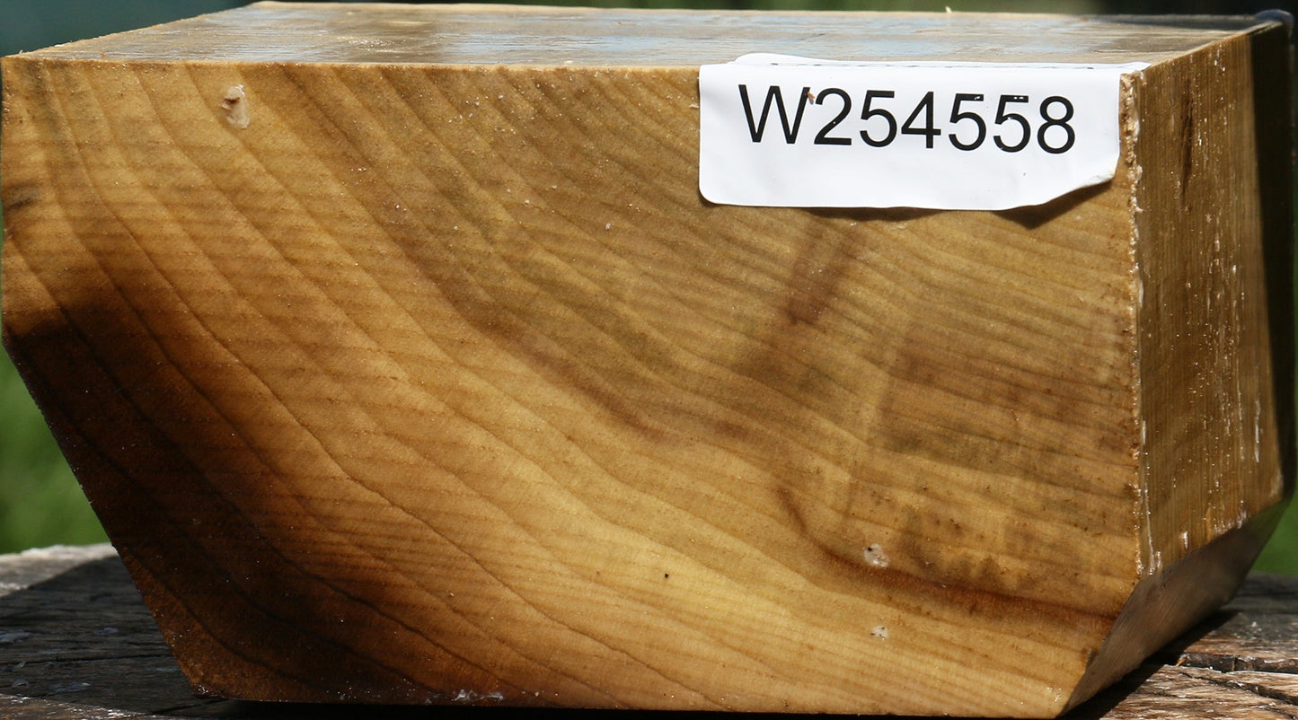 Extra Fancy Myrtle Bowl Blank
