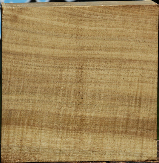 Extra Fancy Myrtle Bowl Blank