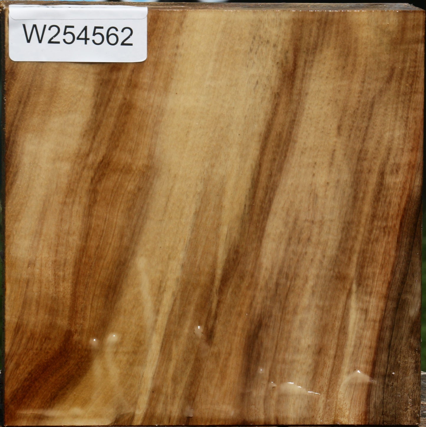 Figured Myrtle Bowl Blank
